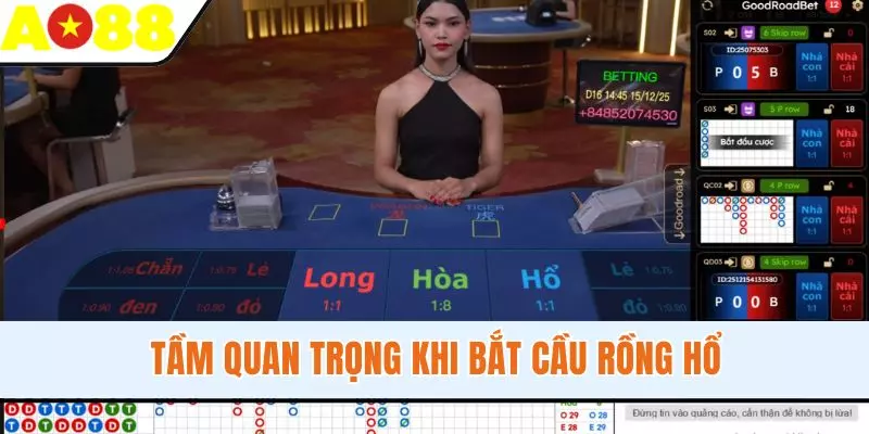 Tầm quan trọng khi bắt cầu Rồng Hổ